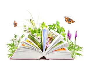 Book of nature. Isolated over white